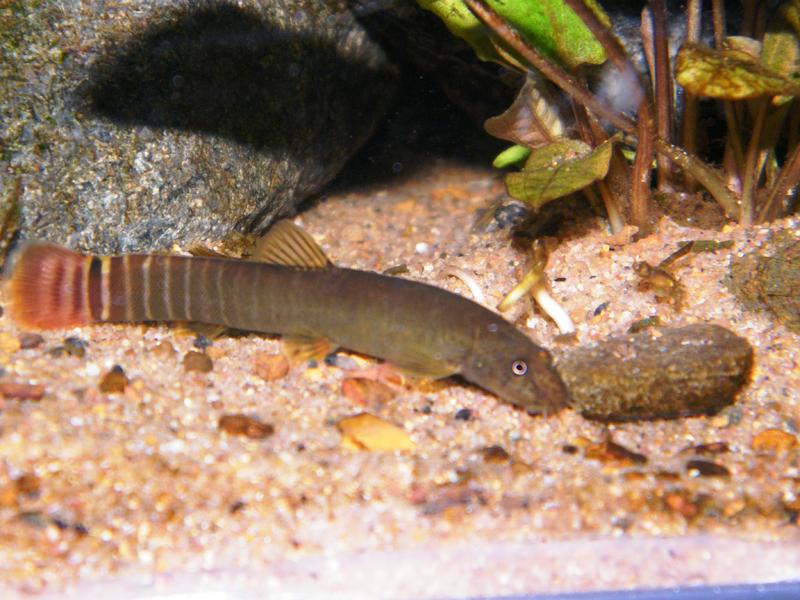 DSCF5056.jpg