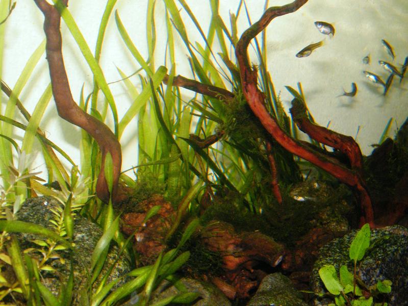DSCF5068.jpg