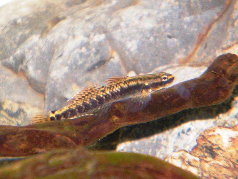 DSCF5101.jpg