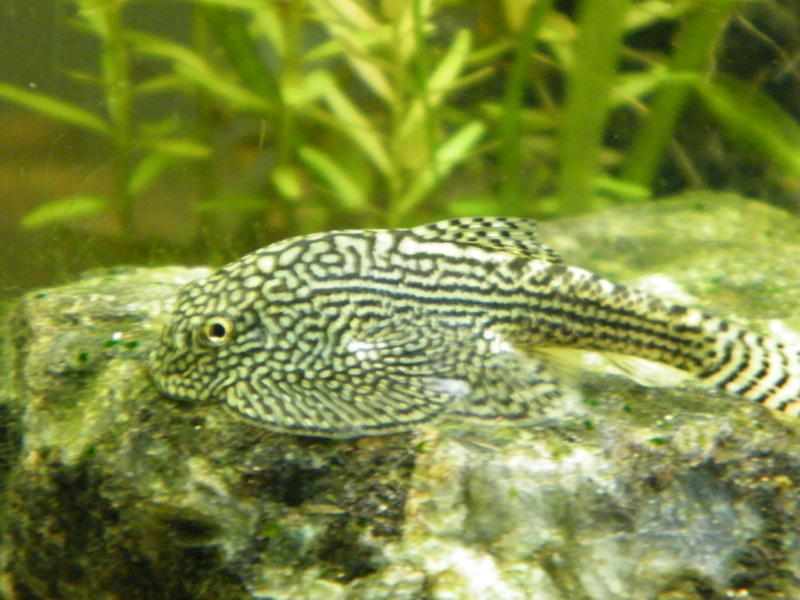 DSCF5153.jpg