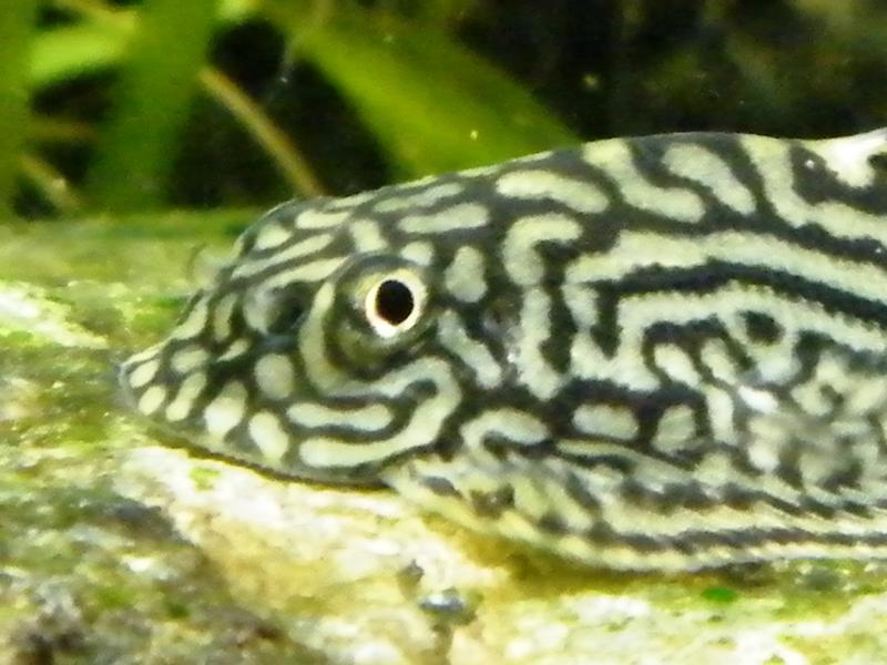 DSCF5199.jpg