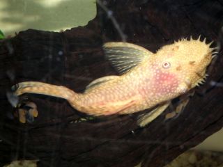 DSCF5379.JPG