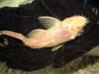 DSCF5380.JPG