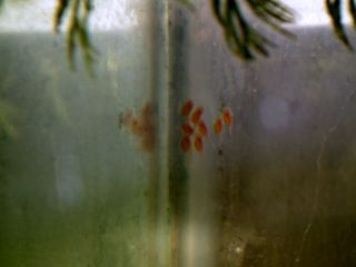 DSCF5381.JPG