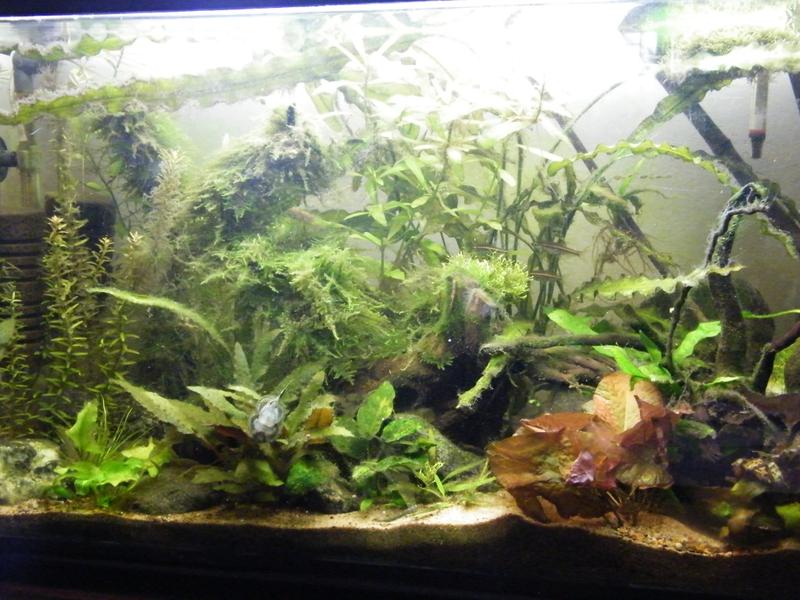 DSCF5483.jpg
