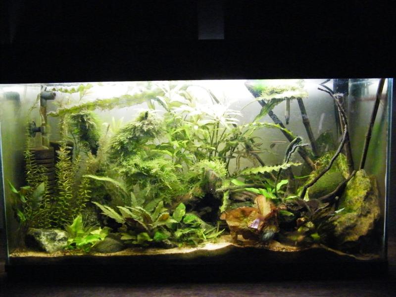 DSCF5490.jpg