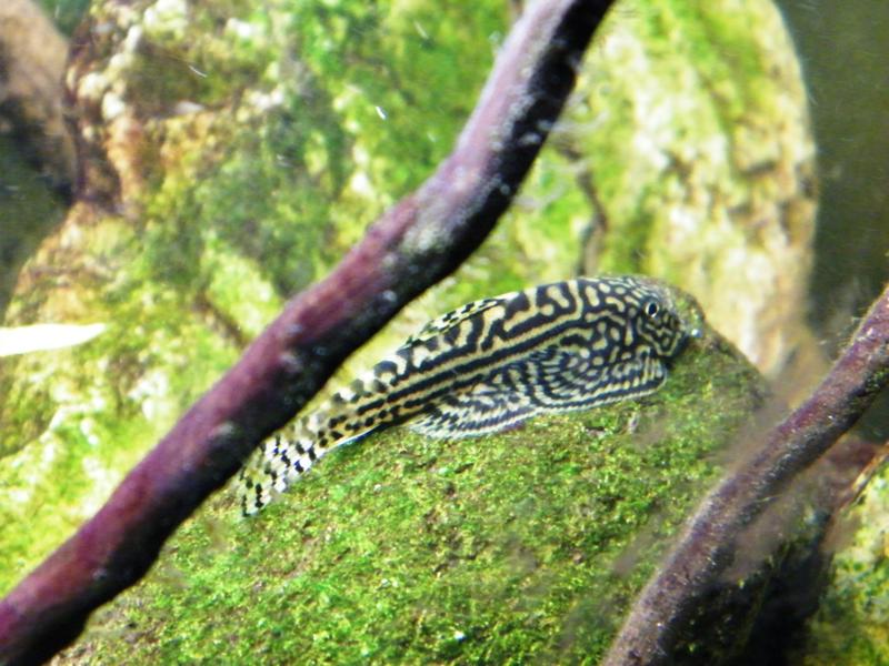 DSCF5493.jpg