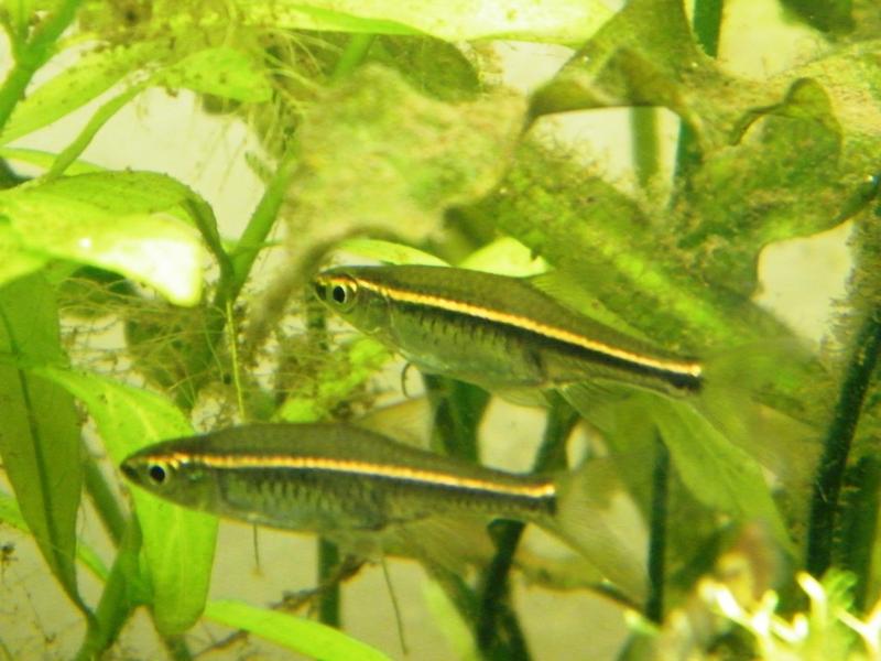 DSCF5494.jpg