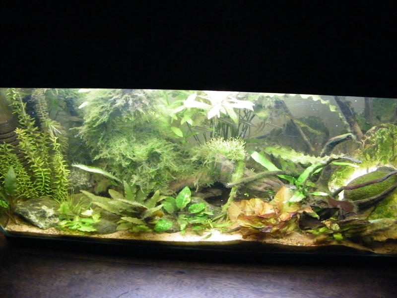 DSCF5499.jpg