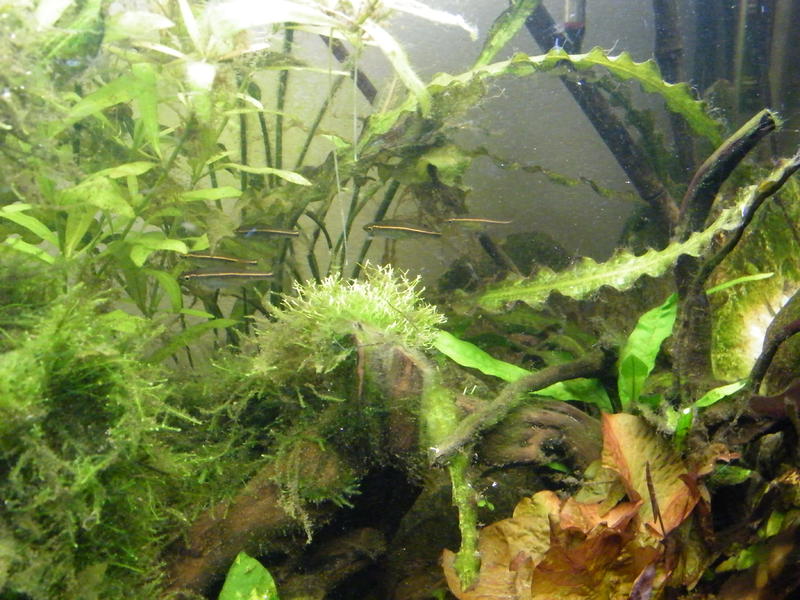 DSCF5500.jpg