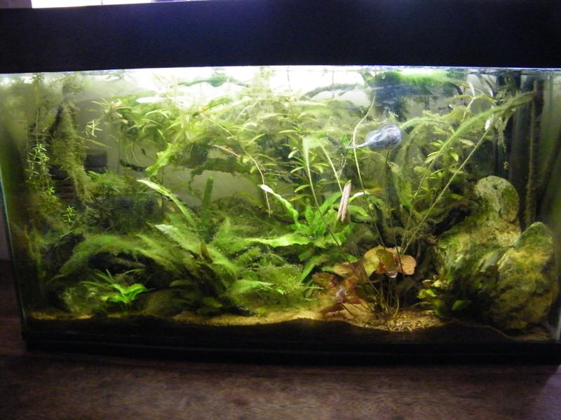 DSCF5608.jpg