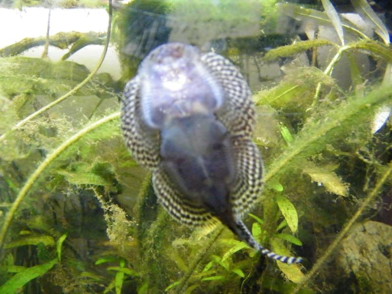 DSCF5609.jpg