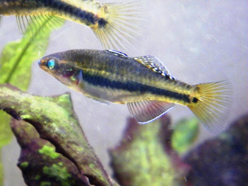 DSCF5781.jpg
