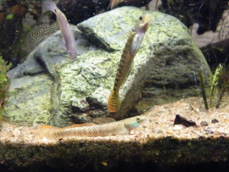 DSCF5946.JPG