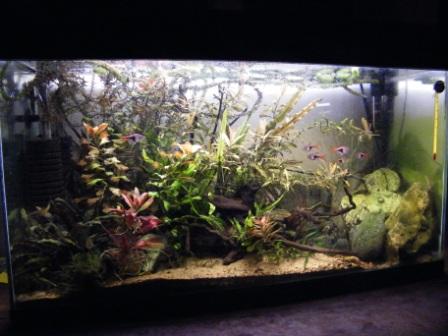 DSCF6071.JPG