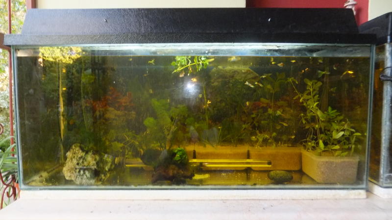 DSCF6153.jpg