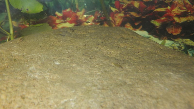 DSCF6320.jpg