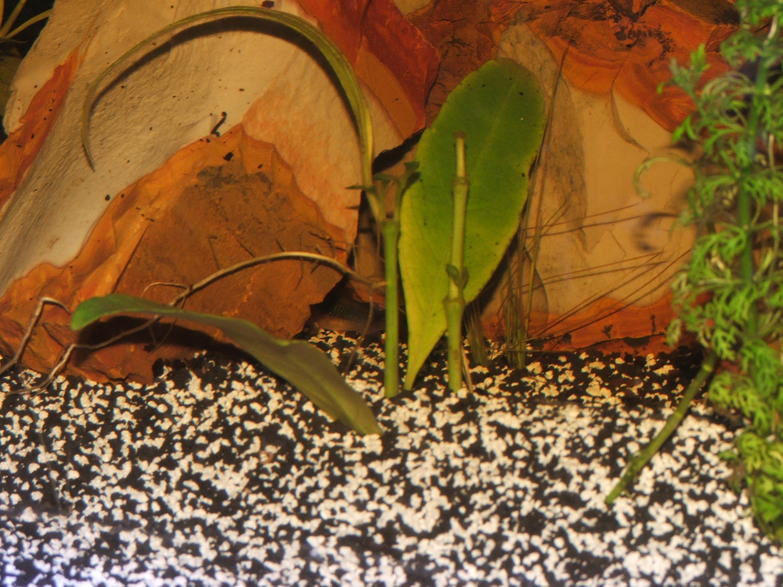 DSCF6487.jpg