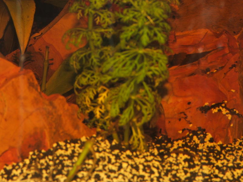 DSCF6494.jpg
