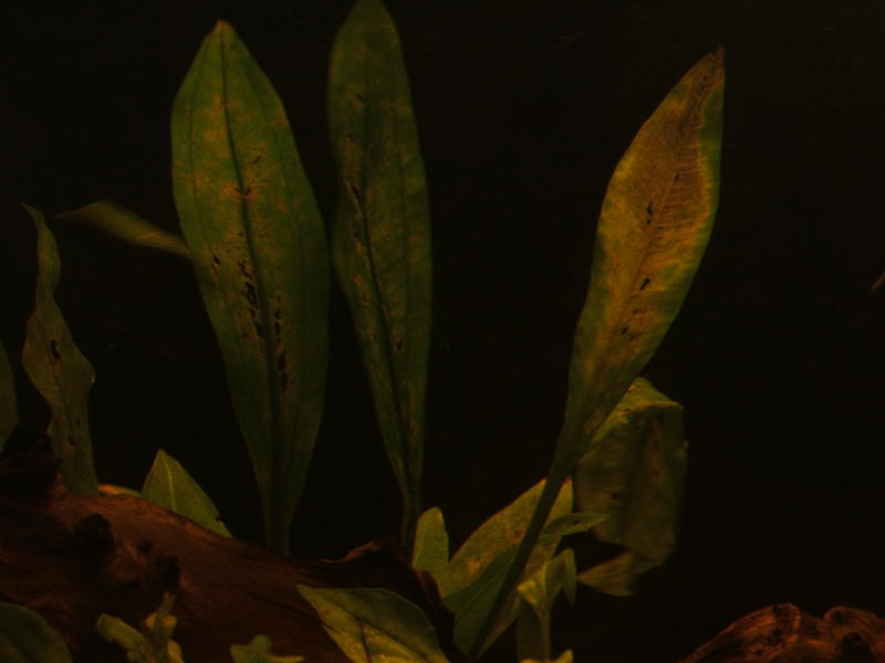 DSCF6509.jpg