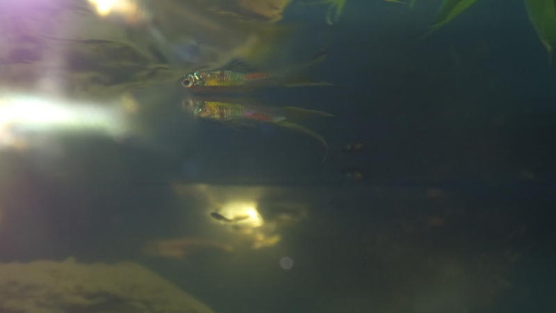 DSCF6703.jpg
