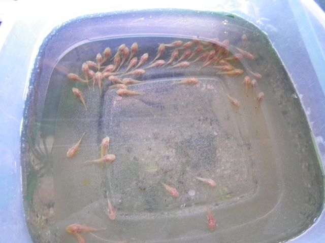 DSCF6893.JPG