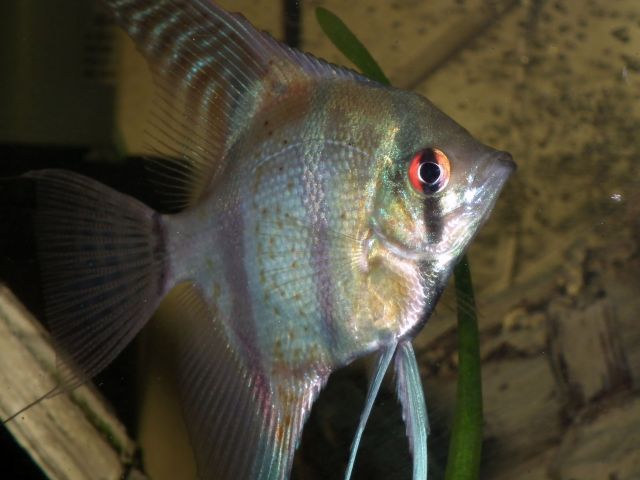 DSCF7134.jpg