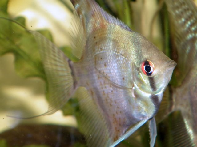 DSCF7144.jpg