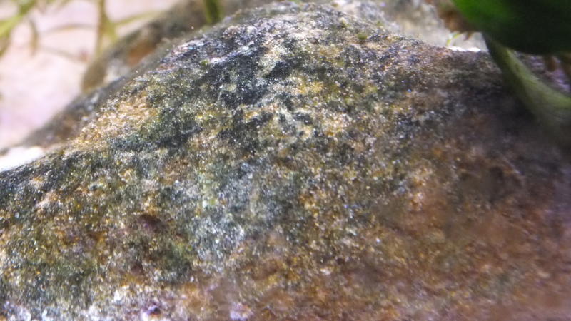 DSCF7187.jpg