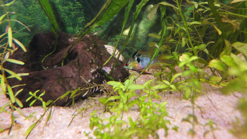 DSCF7227.jpg