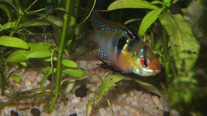DSCF7347.jpg