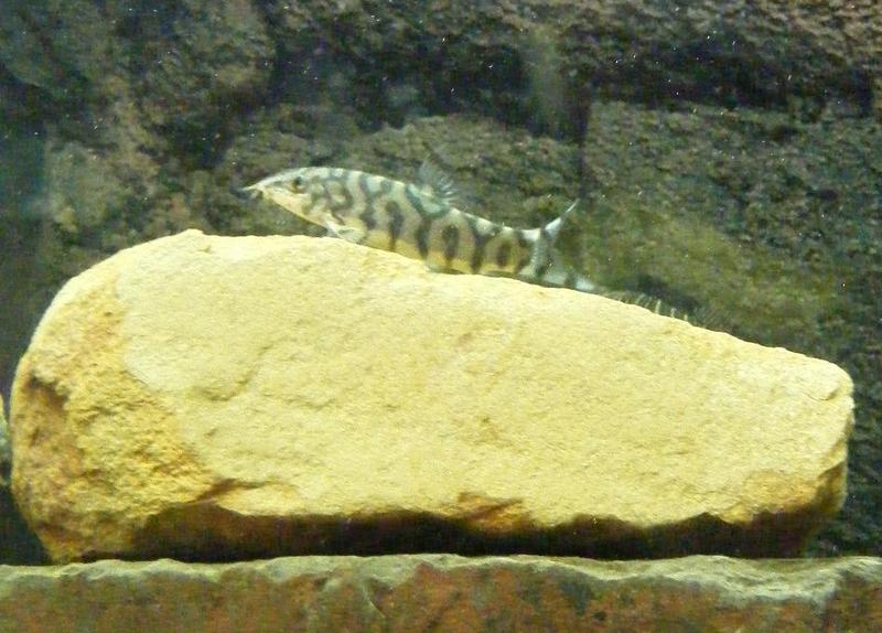 DSCF7394.jpg