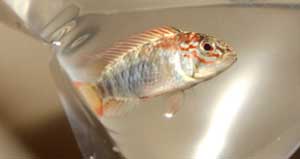 DSCF9248.jpg