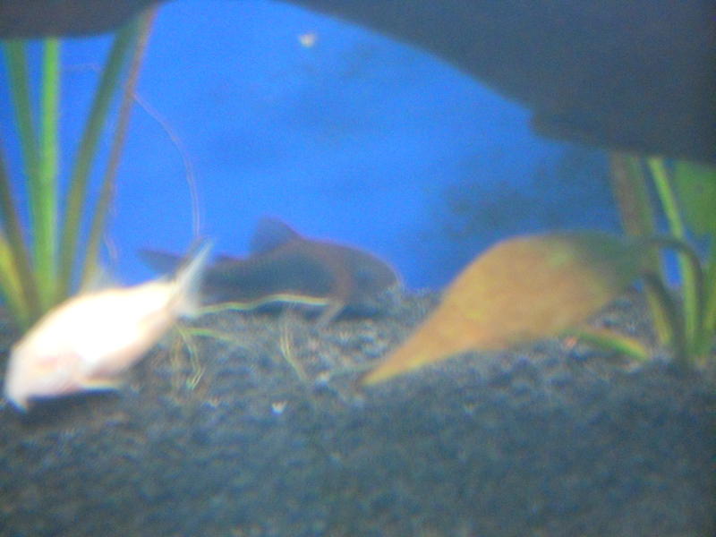DSCN0791.jpg