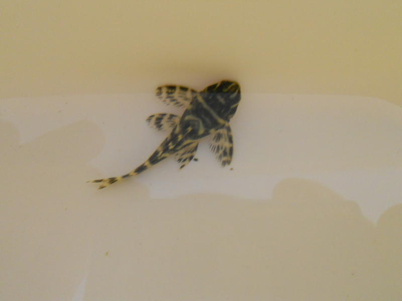 DSCN0818.jpg