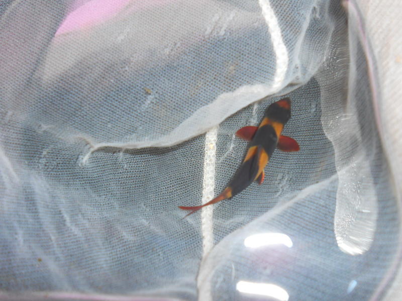 DSCN0824.jpg