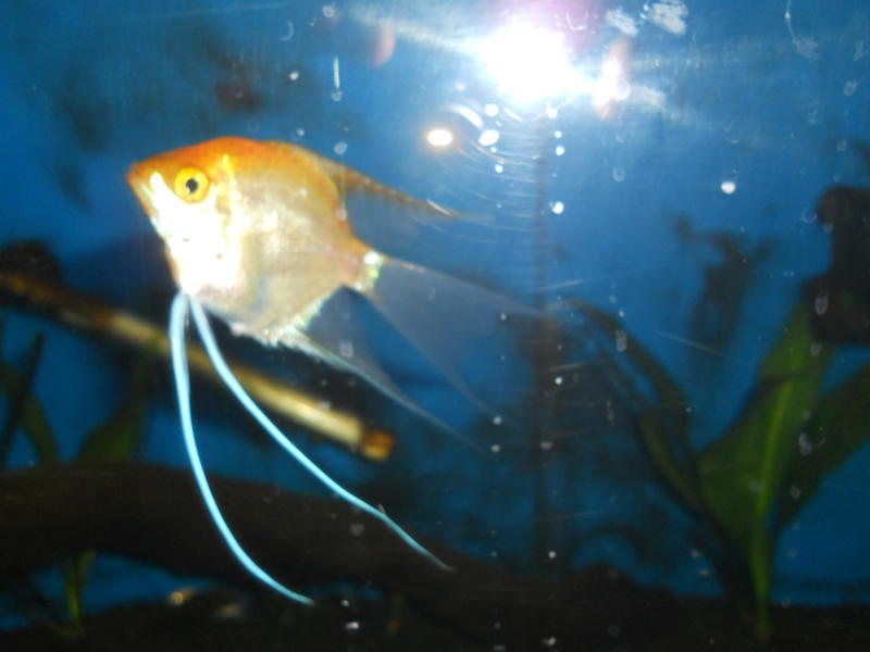 DSCN0831.jpg
