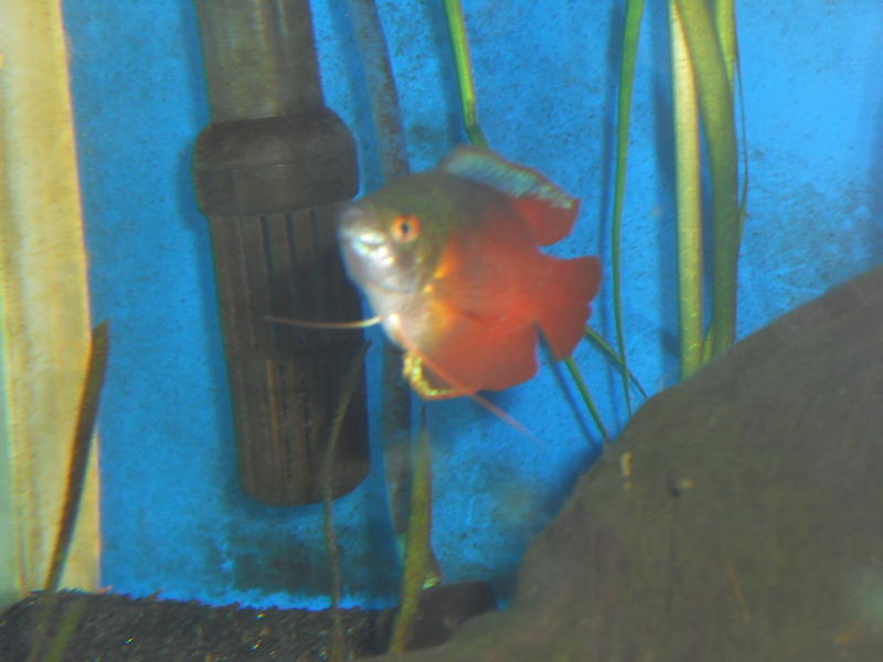 DSCN0833.jpg