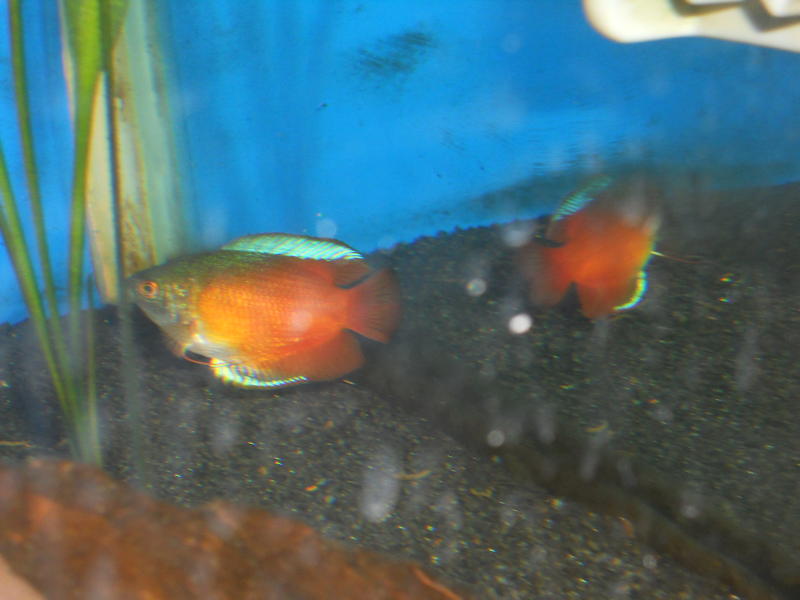 DSCN0834.jpg