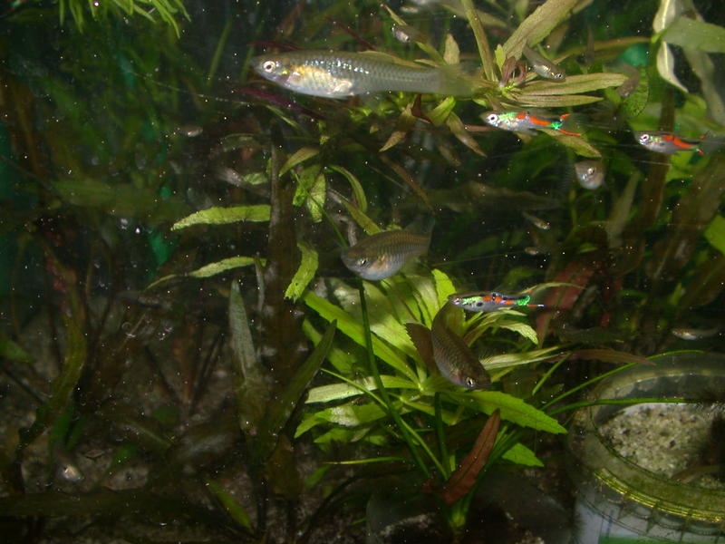 DSCN0859.jpg