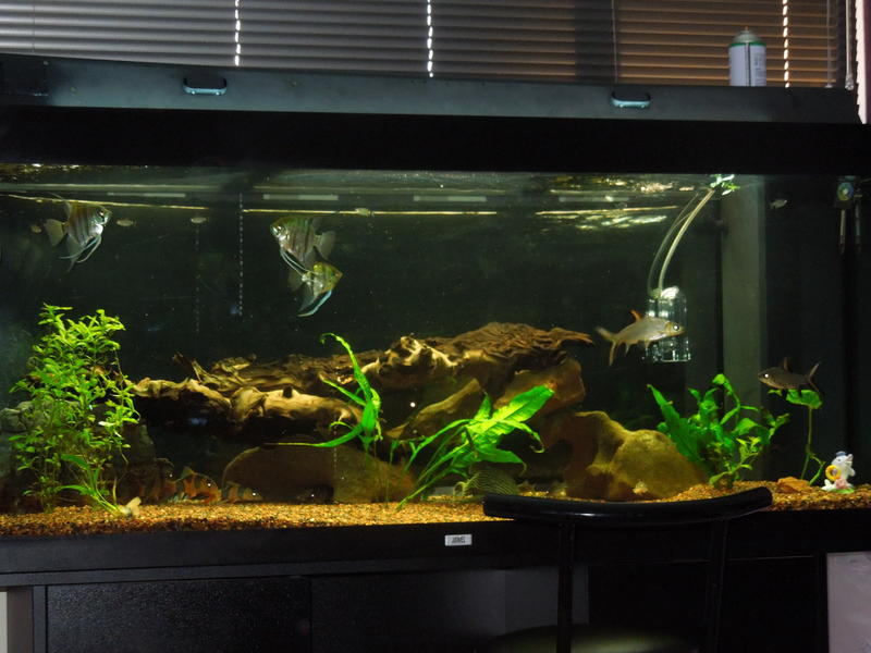 DSCN2282.jpg
