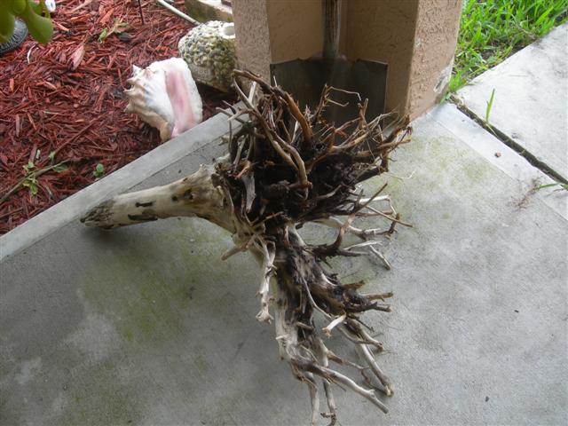 DSCN3914%20(Small).JPG