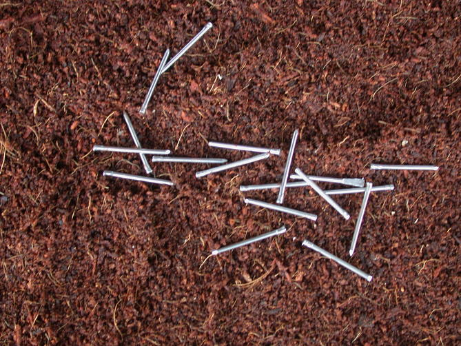 DSCN9391.jpg