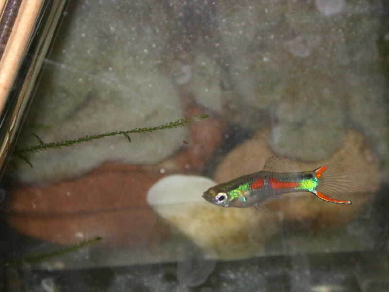 DSCN9892.jpg