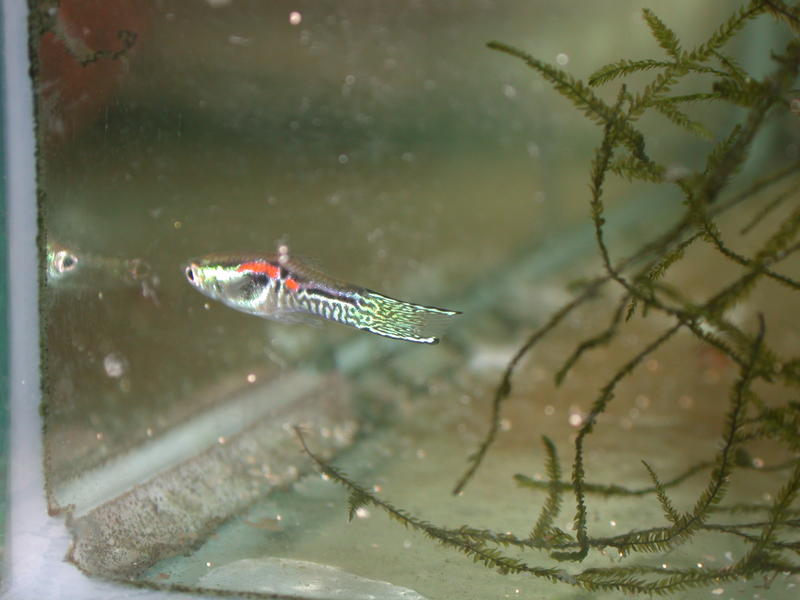 DSCN9901.jpg