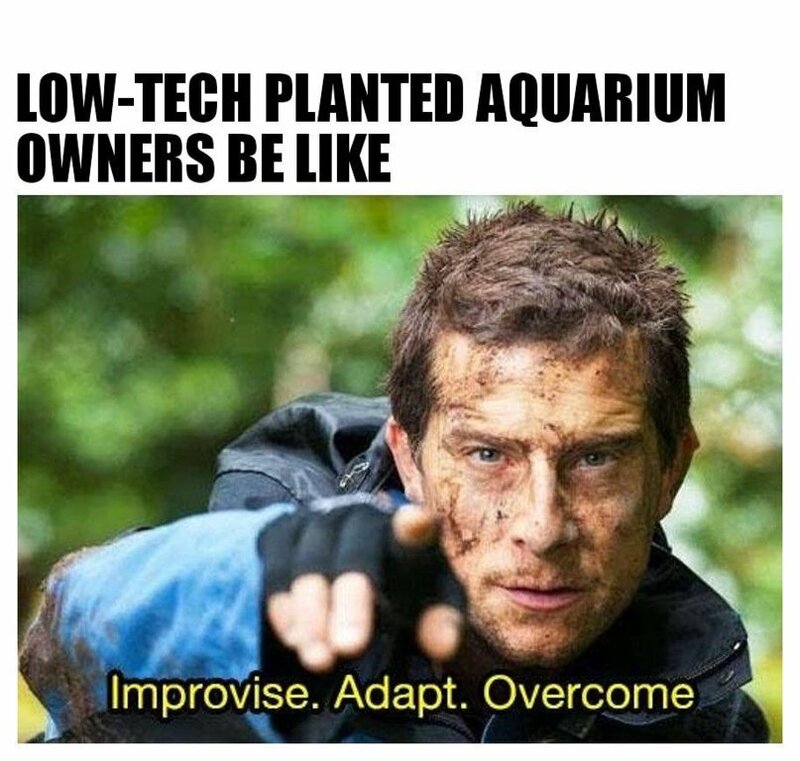DSxFTKdVAAAm4EZ.jpg
