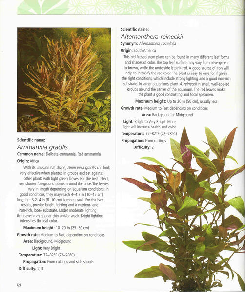 Encyclopedia of Aquarium Plants-119.jpg