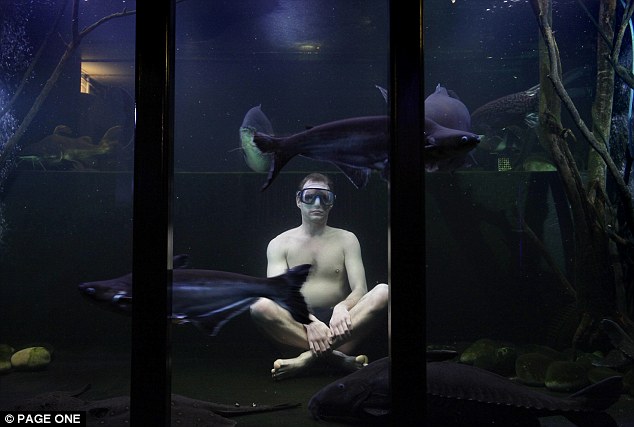 englishm,an turns his cellar into aquairium.jpg