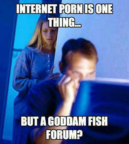 F.jpg