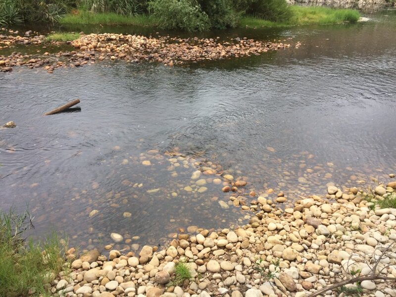 F785EDBD-D3E2-4599-AB0C-947454DDC091.jpeg
